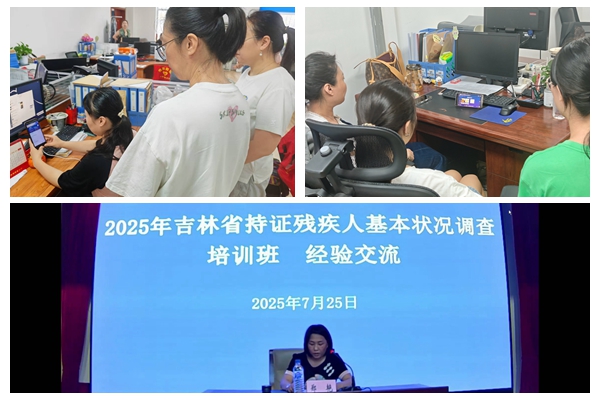 湖西街道全力推进残疾人专项调查工作，精准培训助力高效落实1.jpg